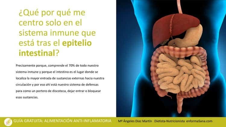 ALIMENTACION_ANTIINFLAMATORIA_guia_gratuita_enformaSana-2